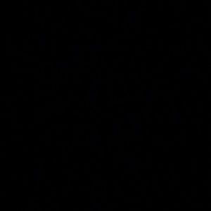 Meet your Posher, Enrique